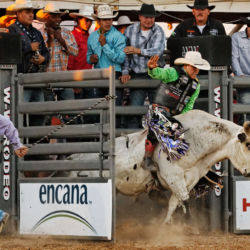 West Slope Colorado Oil and Gas Association's annual Bull Ride 'n' BBQ. Bull rider