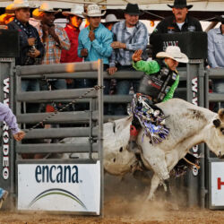 Bull rider