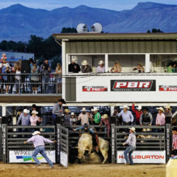 West Slope Colorado Oil and Gas Association's annual Bull Ride 'n' BBQ. Bull Ridering