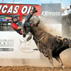 West Slope Colorado Oil and Gas Association's annual Bull Ride 'n' BBQ. getting bucked off the bull