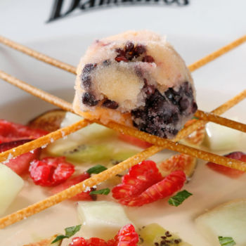 Homemade Sorbet in Kiwi Soup homemade sorbet in kiwi soup