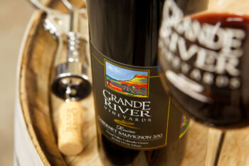open bottle of wine with glass