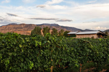 grande river vineyards