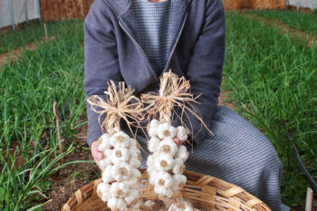 Straw Hat Farms woman holding garlic